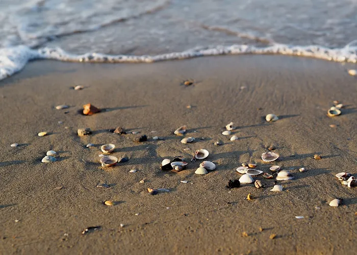 Cozy By The Lägenhet *